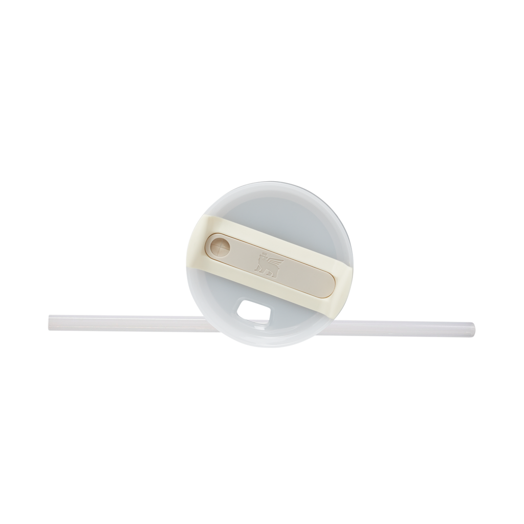 The Quencher H2.0 FlowState™ Tumbler | 20 OZ - Stanley Create