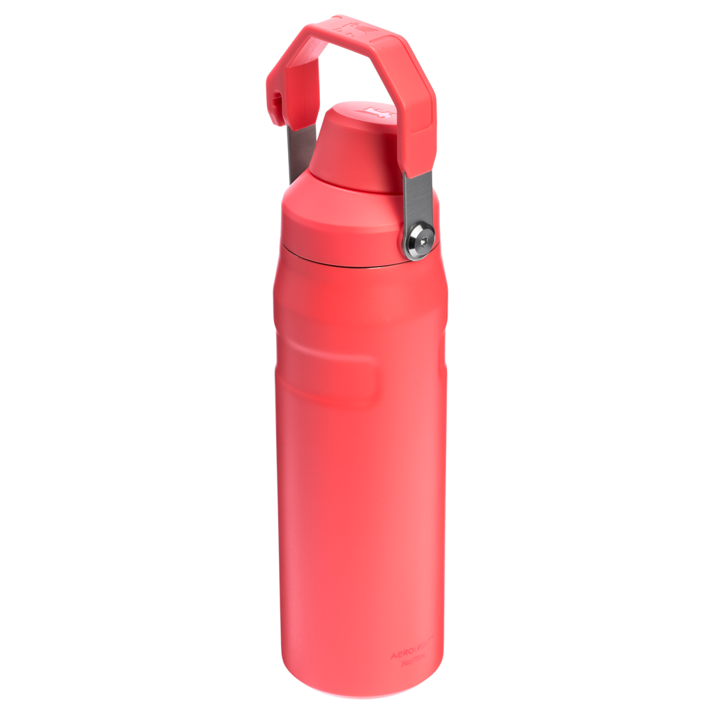 IceFlow™ Bottle with Fast Flow Lid | 24 OZ - Stanley Create