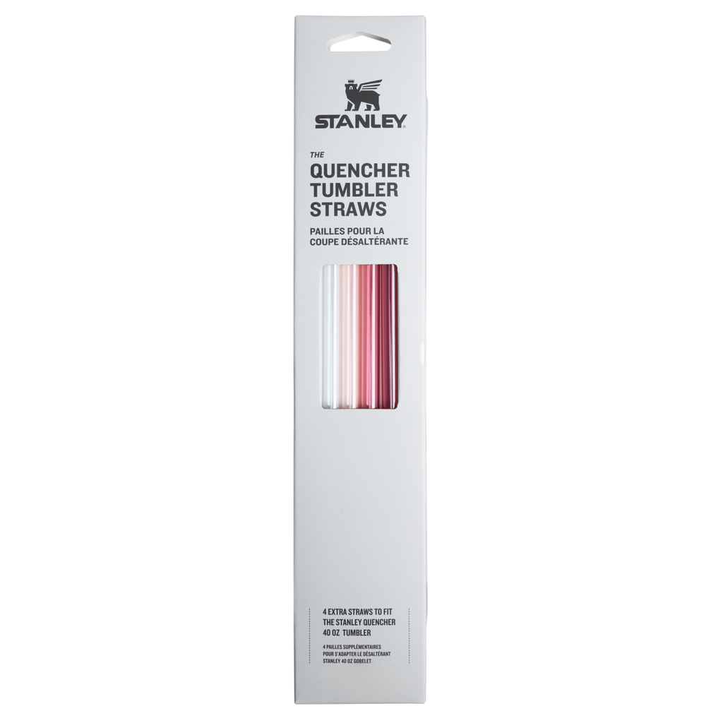 Stanley Quencher Replacement Straws 30OZ Fall Multi Pack